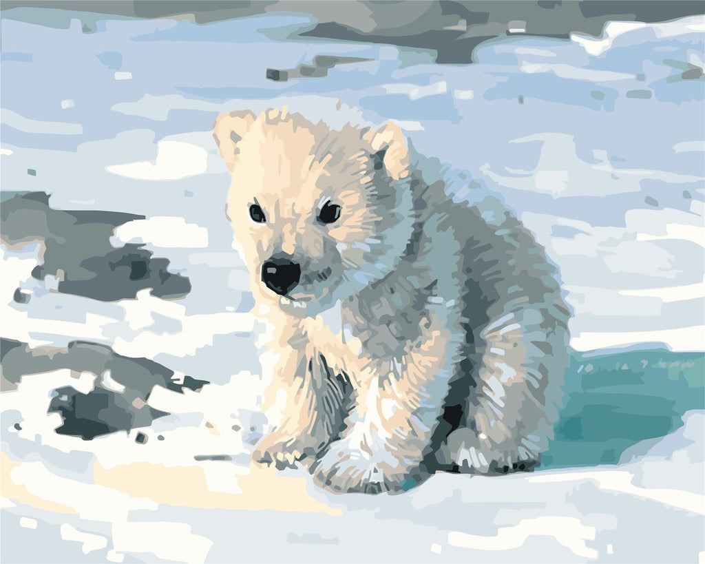Oso Polar Pequeño Adorable sobre Hielo Pintar por Números