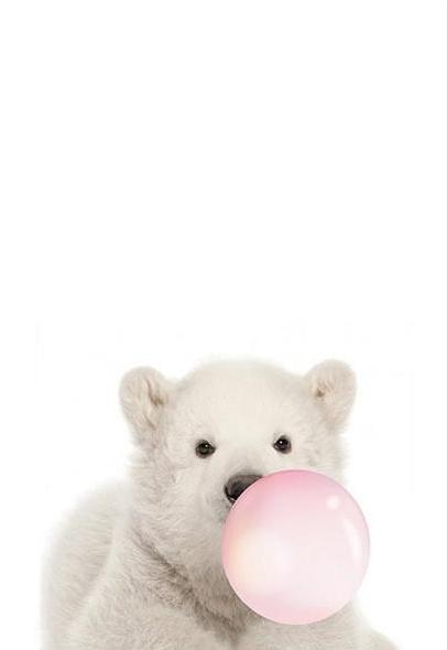 Oso Polar Pequeño Soplando Burbuja de Chicle Pintar por Números