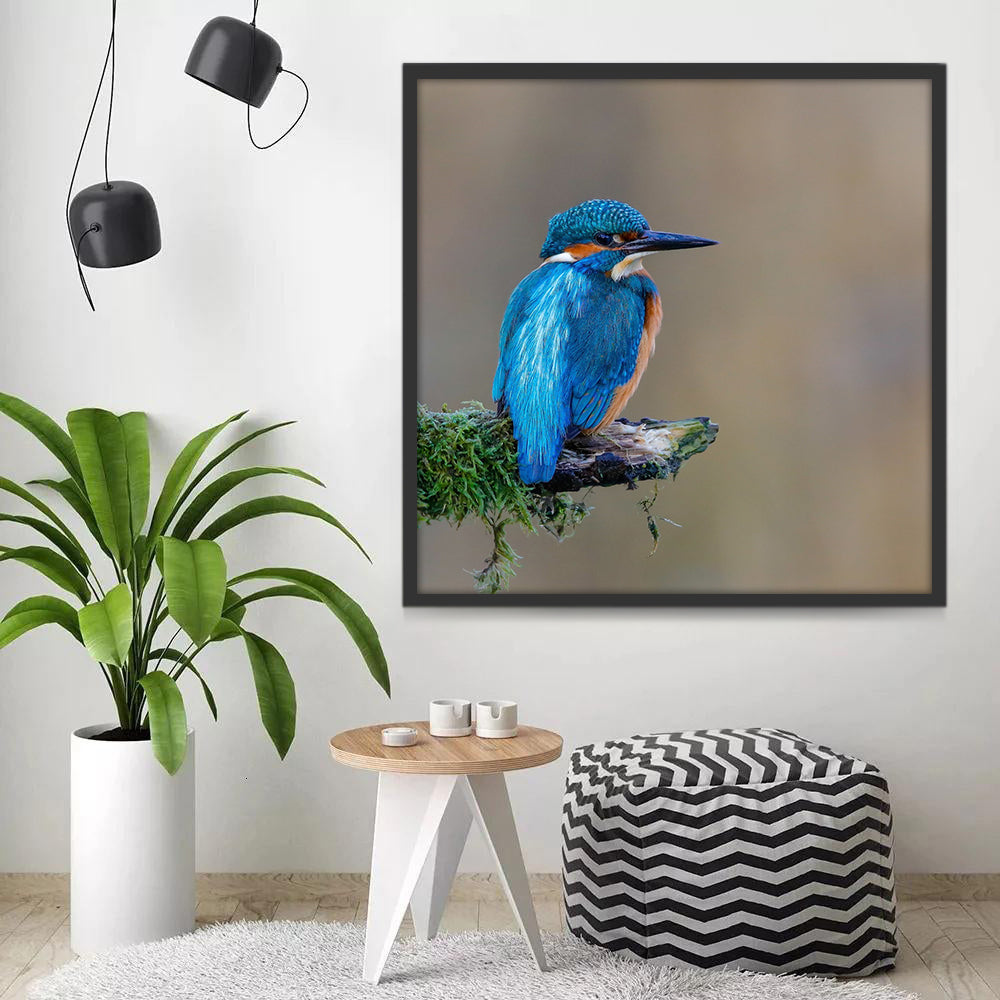 Pajarito Azul en Rama de Árbol Pintar por Números