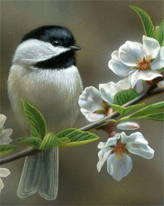 Pajarito con Flores Blancas Pintar por Números