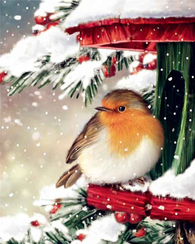 Pajarito en Árbol de Bayas Rojas Pintar por Números