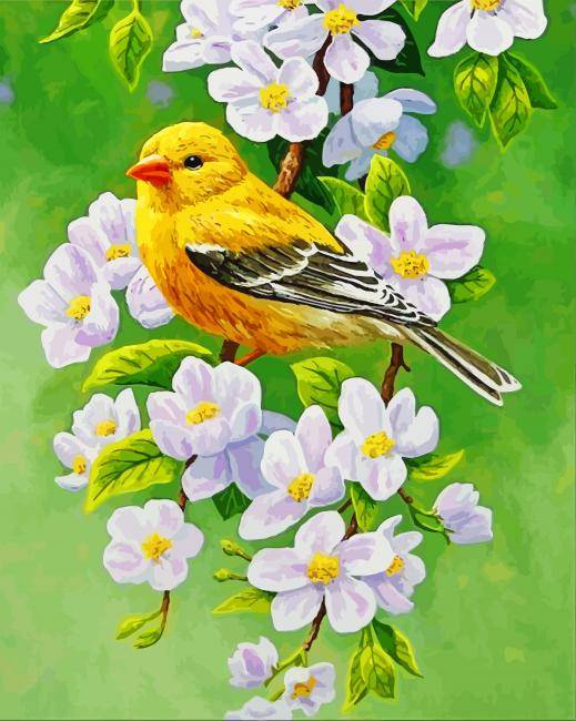 Pajarito sobre Rama Floral y Fondo Verde Pintar por Números
