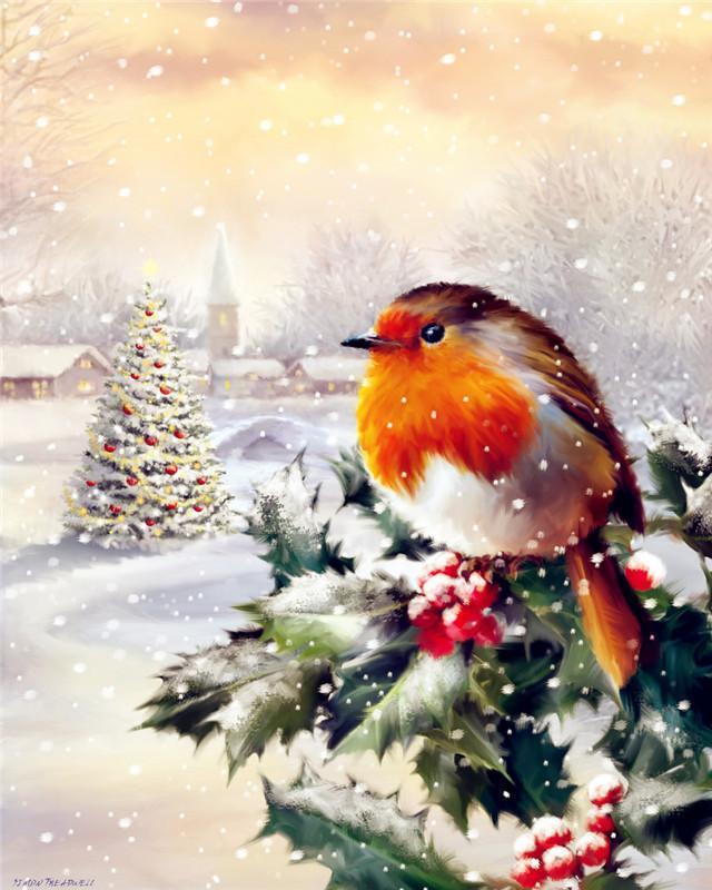 Pajarito y Bayas de Acebo en Navidad Pintar por Números