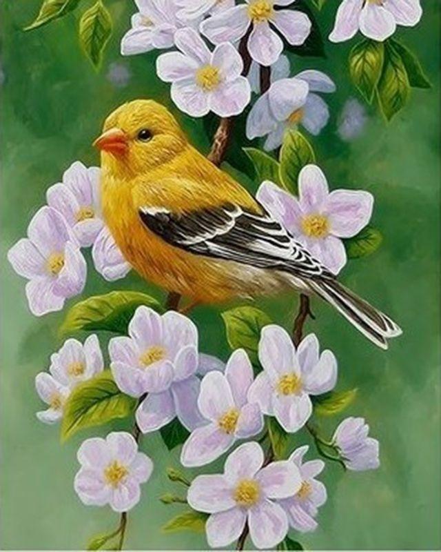 Pájaro Amarillo y Flores Rosadas Pintar por Números