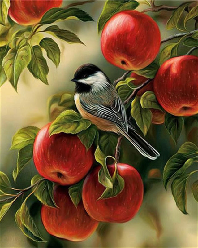 Pájaro en Árbol de Manzanas Pintar por Números