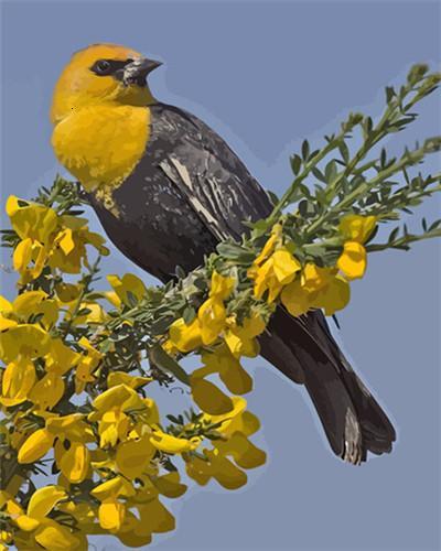 Pájaro en Rama de Flores Amarillas Pintar por Números