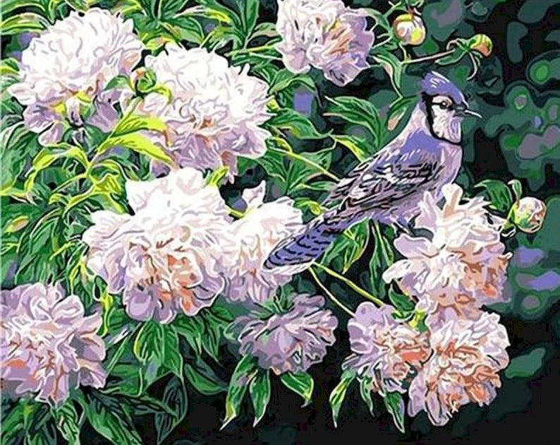 Pájaro Parado sobre Rama de Peonías Blancas Pintar por Números