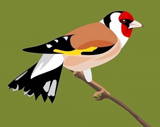 Pájaro sobre la Rama con Fondo Verde Pintar por Números Niños