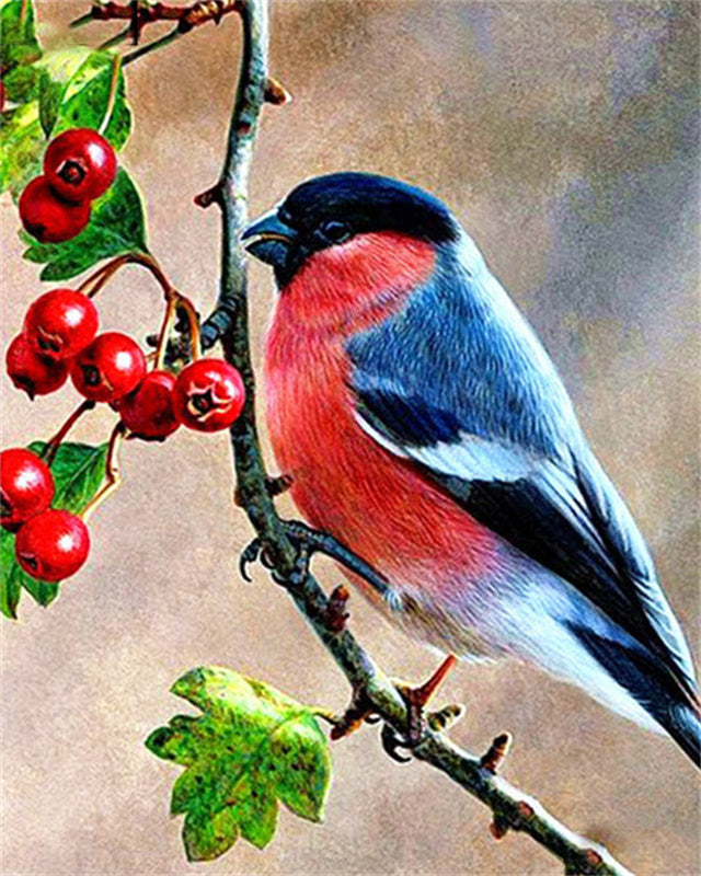 Pájaro sobre Rama de Bayas Pintar por Números