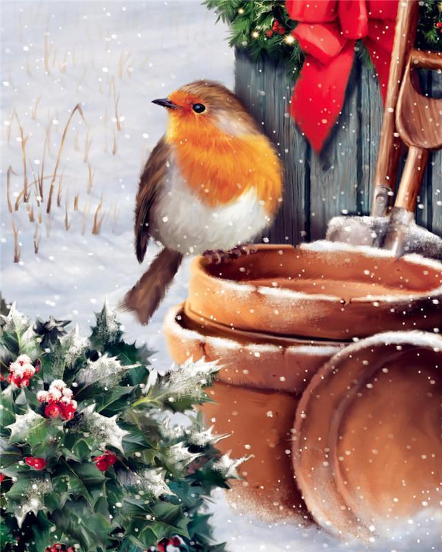 Pájaro y Bayas de Acebo de Navidad Pintar por Números
