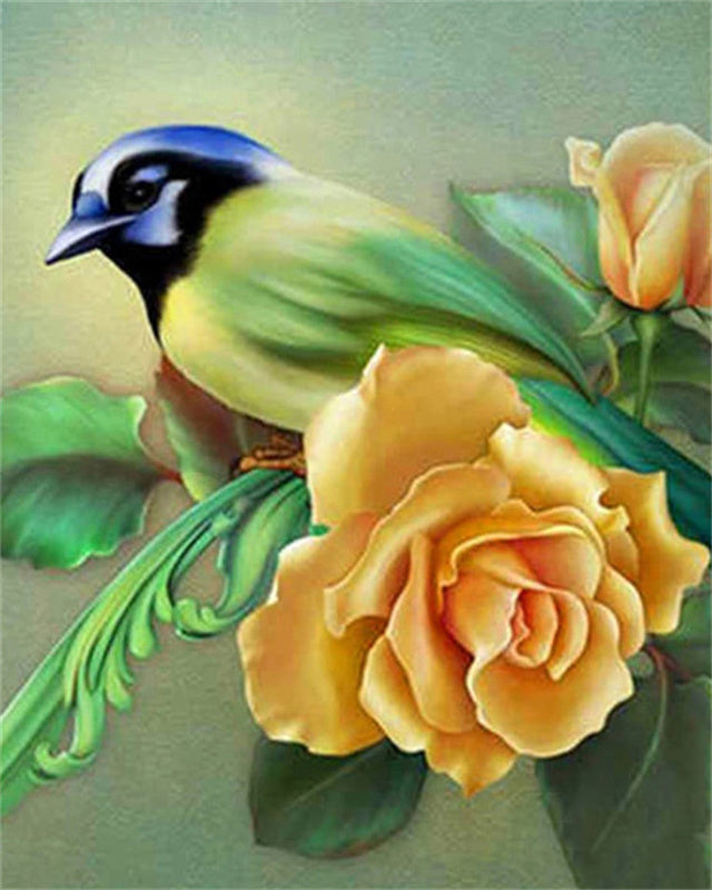 Pájaro y Rosas Amarillas Pintar por Números