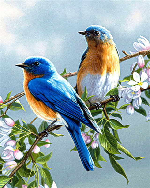 Pájaros Azules y Flores Rosadas Pintar por Números