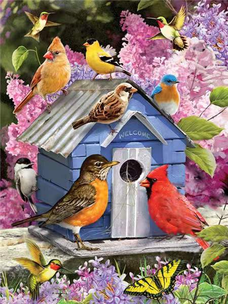 Pájaros con Su Casita entre Flores Pintar por Números