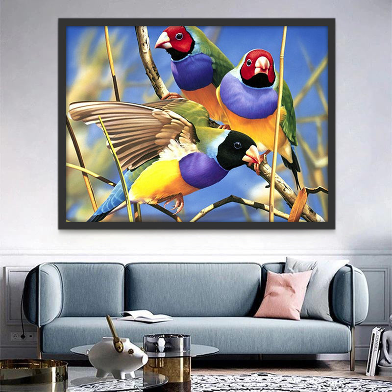 Pájaros de Colores Diferentes Pintar por Números