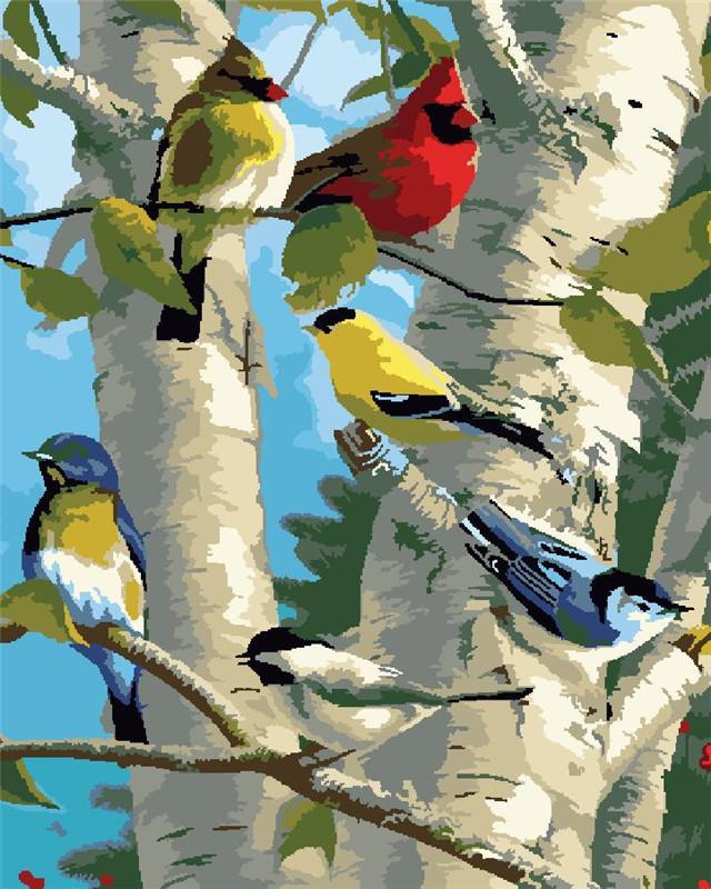 Pájaros de Colores Diversos en Árbol Pintar por Números