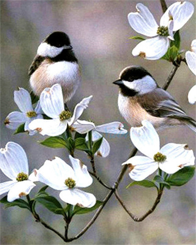 Pájaros Pequeños y Flores Blancas Pintar por Números