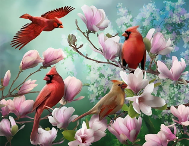 Pájaros Rojos sobre Árbol de Magnolia Pintar por Números