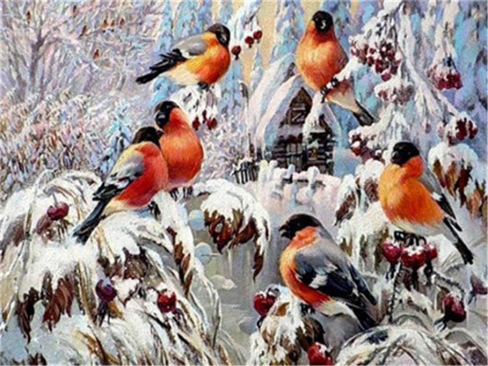Pájaros Rojos sobre Rama en Invierno Pintar por Números