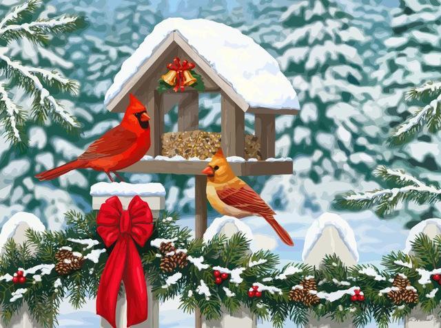 Pájaros y Bayas de Acebo de Navidad Pintar por Números