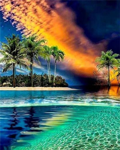 Palmeras y Mar Hermoso Pintar por Números