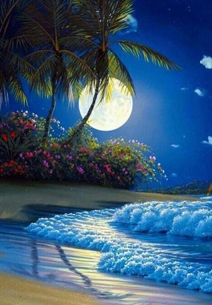Palmeras y Olas a la Luz de la Luna Pintar por Números