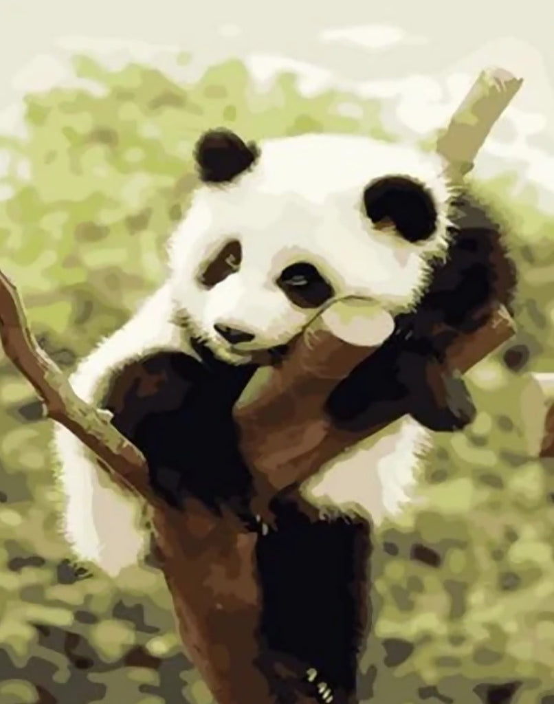 Panda Acostado sobre Tronco de Árbol con Fondo Verde Pintar por Números