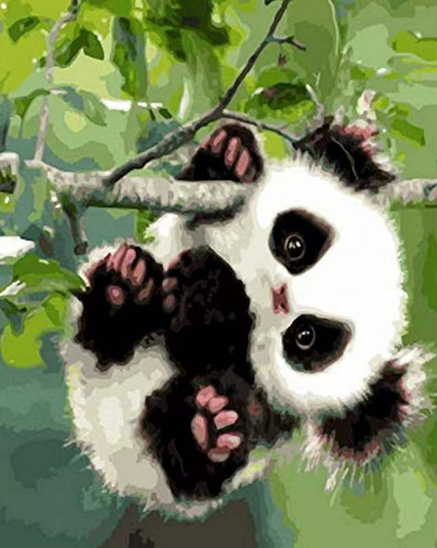 Panda Bebé Colgando sobre Rama de Árbol Pintar por Números