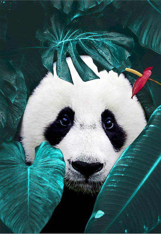 Panda entre Plantas de Monstera Deliciosa Pintar por Números