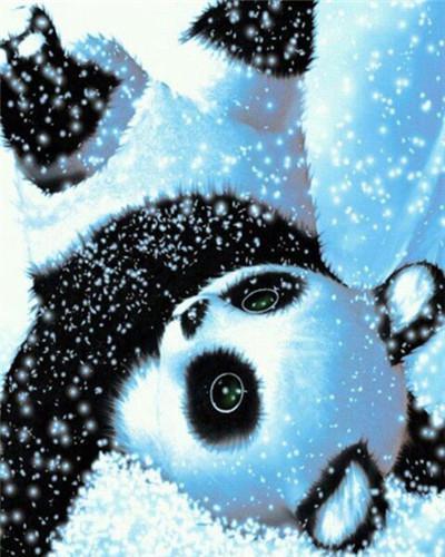 Panda Lindo Acostado en la Nieve Pintar por Números