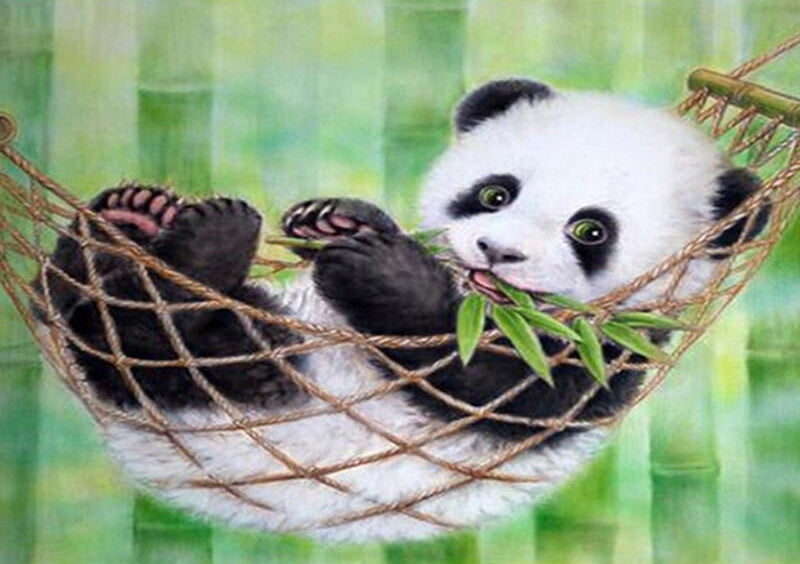 Panda Lindo sobre Hamaca Suspendida entre Árboles Pintar por Números