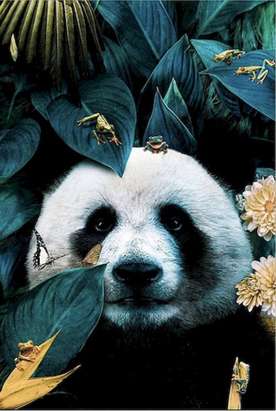 Panda y Ranas y Mariposa entre Hojas Verdes Pintar por Números