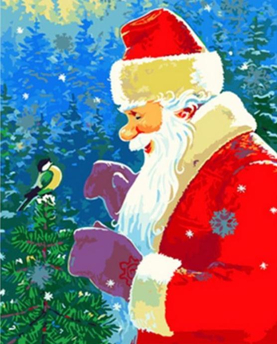 Papá Noel Amable Mirando un Pájaro Pintar por Números
