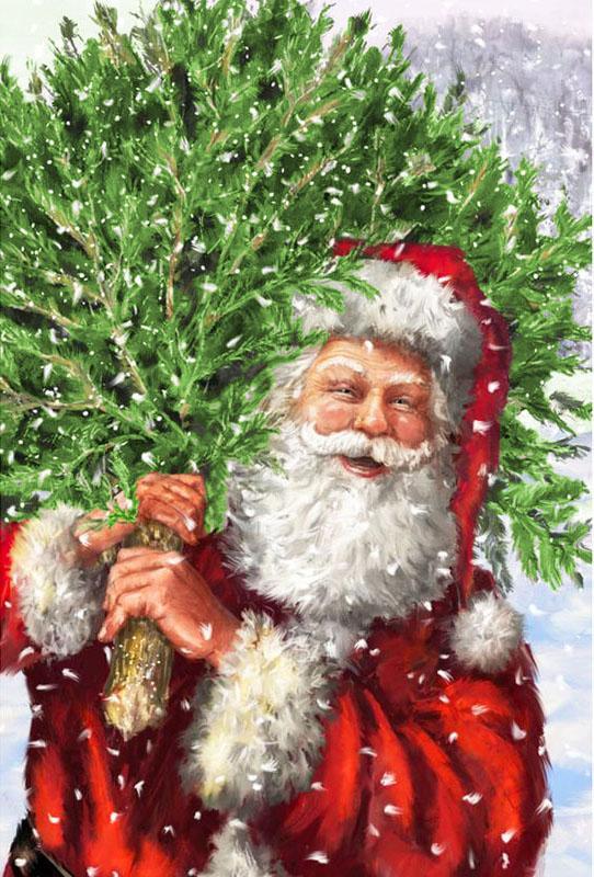 Papá Noel con Pino sobre Su Hombro Pintar por Números