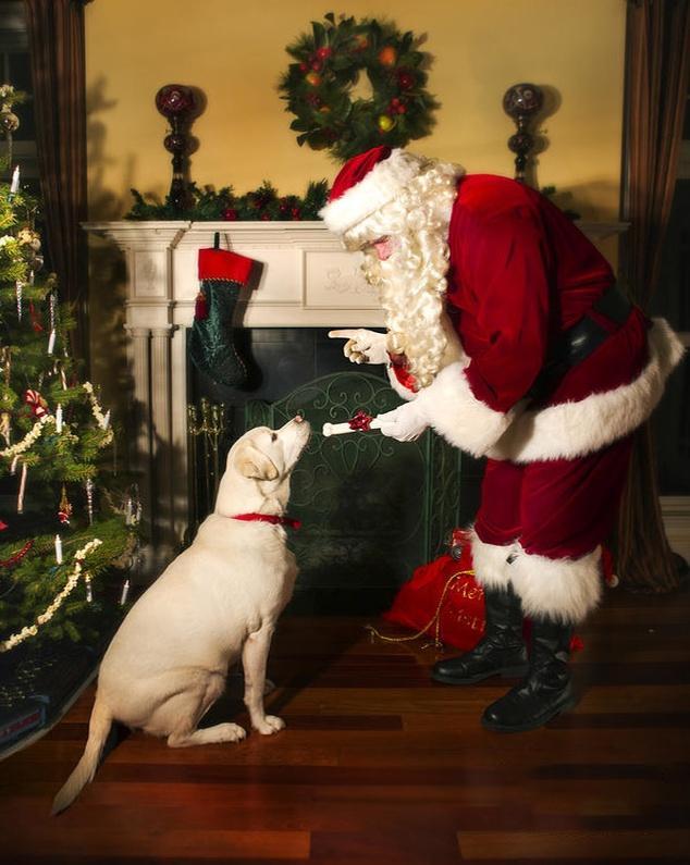 Papá Noel Diciendo Algo a Su Perro Pintar por Números