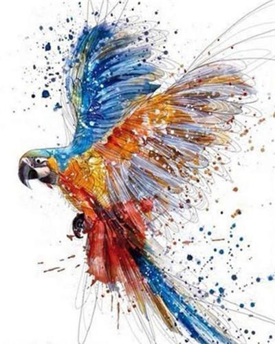Papagayo con Alas de Dos Colores Pintar por Números