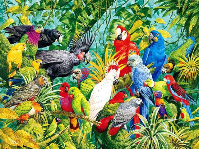 Papagayos de Colores Diversos y Plantas Verdes Pintar por Números