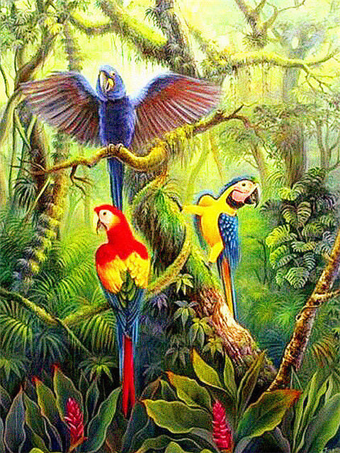 Papagayos en Bosque Pintar por Números