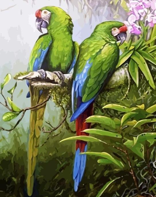 Papagayos Verdes sobre Rama Pintar por Números