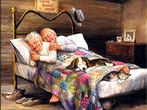 Pareja de Ancianos Durmiendo Pintar por Números
