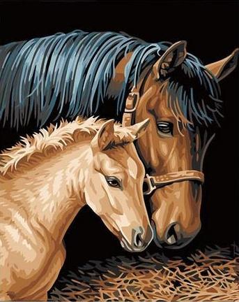 Pareja de Caballos y Fondo Negro Pintar por Números