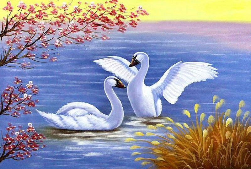 Pareja de Cisnes en Lago Azul Pintar por Números