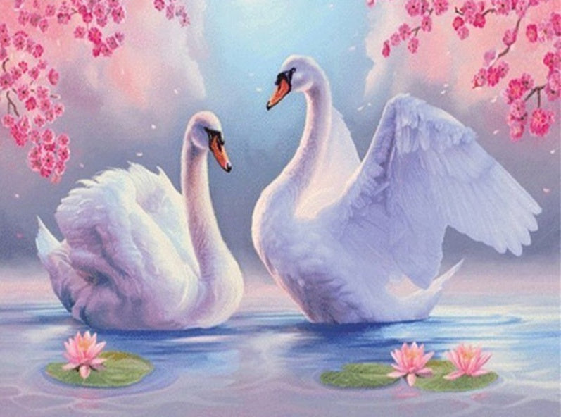 Pareja de Cisnes y Flores de Nenúfar Pintar por Números