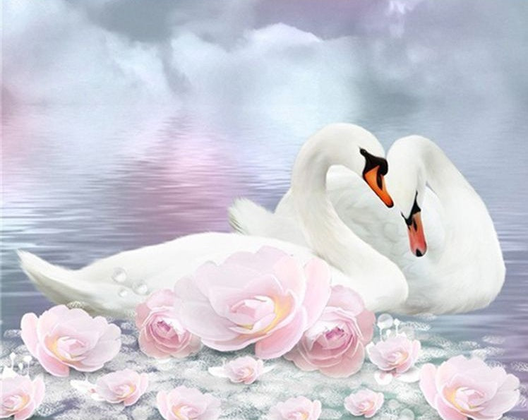 Pareja de Cisnes y Flores Rosas Pintar por Números