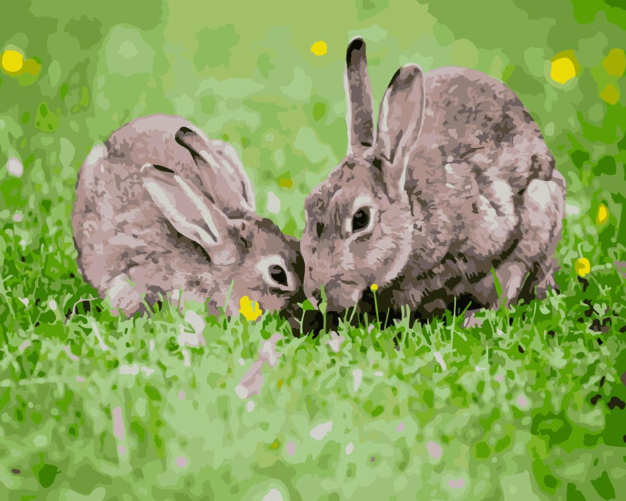 Pareja de Conejos en el Césped Verde Pintar por Números