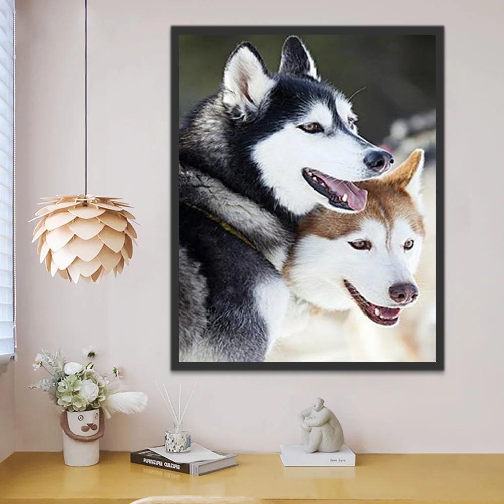Pareja de Husky Feliz Pintar por Números