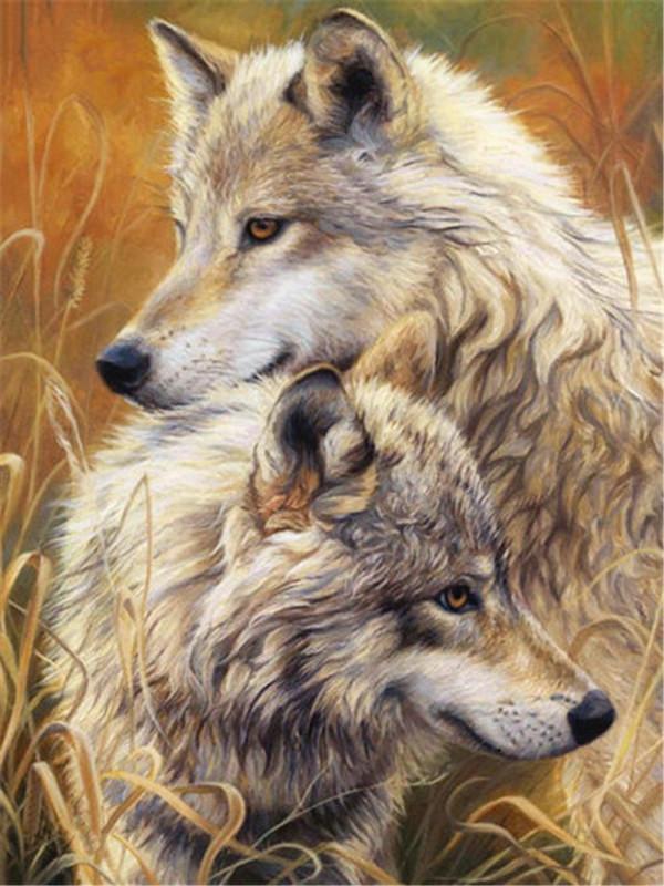 Pareja de Lobos en Césped Amarillo Pintar por Números