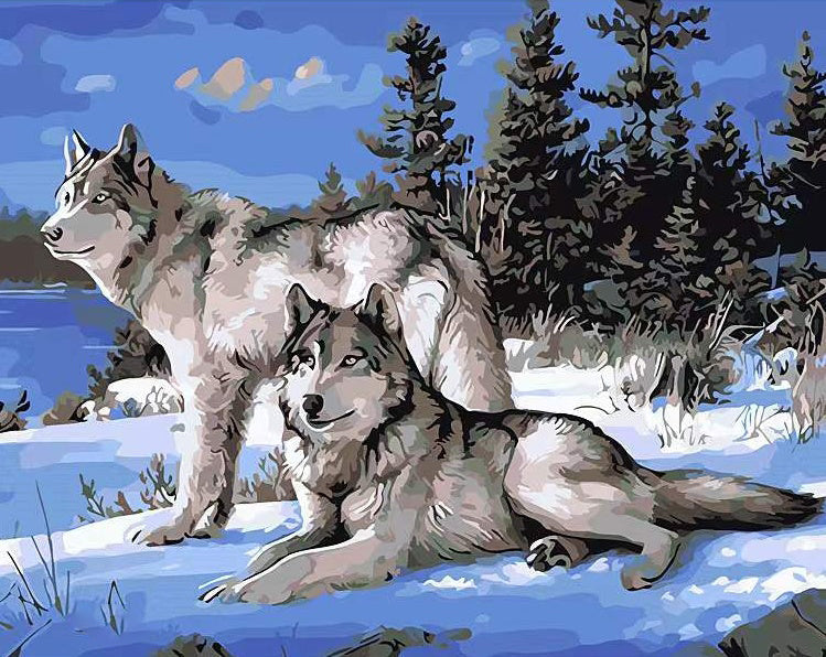 Pareja de Lobos en la Nieve Pintar por Números