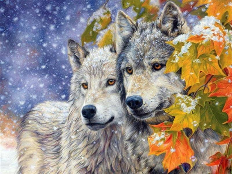 Pareja de Lobos y Hojas de Sicómoro en Invierno Pintar por Números