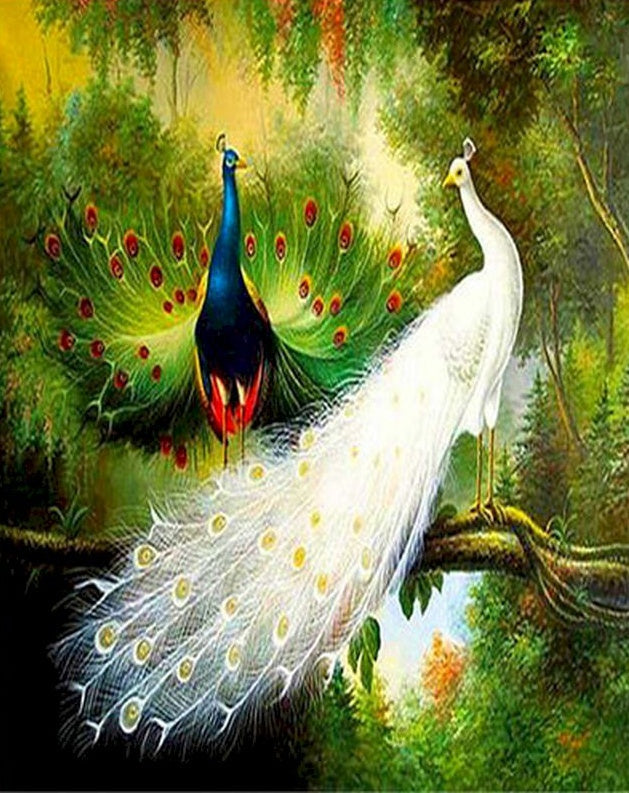 Pareja de Pavos Reales en Árbol Pintar por Números