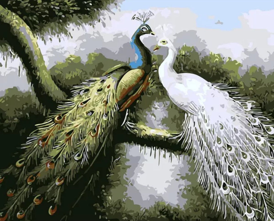 Pareja de Pavos Reales sobre Árbol Pintar por Números